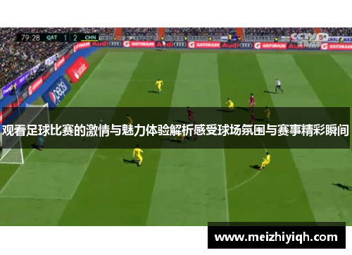 观看足球比赛的激情与魅力体验解析感受球场氛围与赛事精彩瞬间